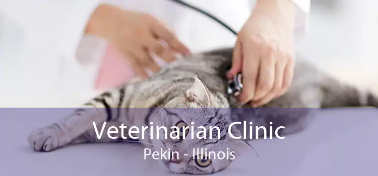 Veterinarian Clinic Pekin - Illinois