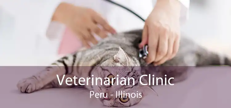 Veterinarian Clinic Peru - Illinois