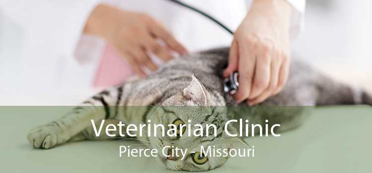 Veterinarian Clinic Pierce City - Missouri