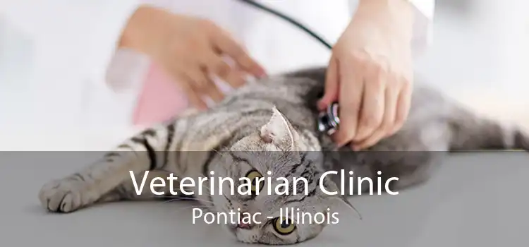 Veterinarian Clinic Pontiac - Illinois