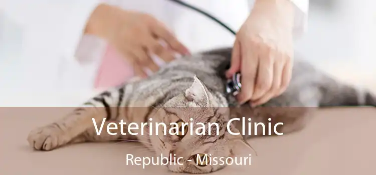 Veterinarian Clinic Republic - Missouri