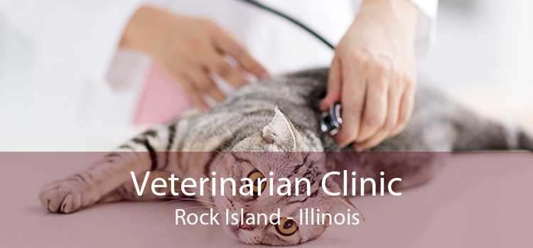Veterinarian Clinic Rock Island - Illinois