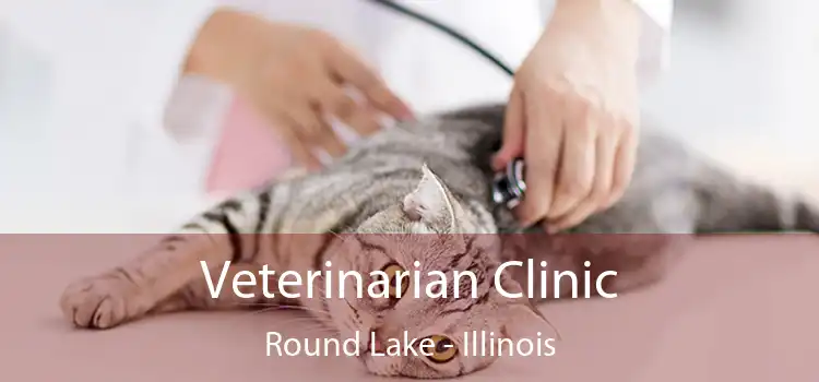 Veterinarian Clinic Round Lake - Illinois