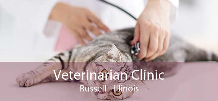 Veterinarian Clinic Russell - Illinois
