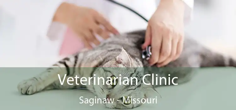 Veterinarian Clinic Saginaw - Missouri