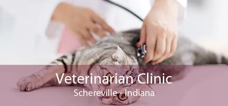 Veterinarian Clinic Schereville - Indiana