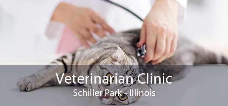 Veterinarian Clinic Schiller Park - Illinois