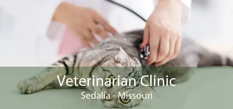 Veterinarian Clinic Sedalia - Missouri