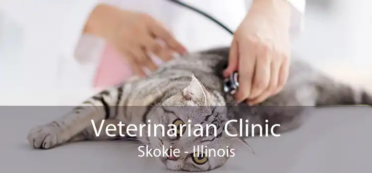 Veterinarian Clinic Skokie - Illinois