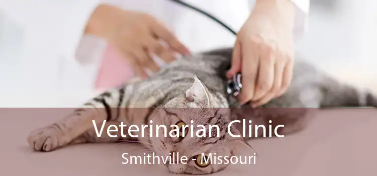 Veterinarian Clinic Smithville - Missouri