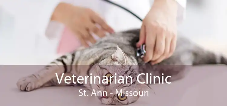 Veterinarian Clinic St. Ann - Missouri