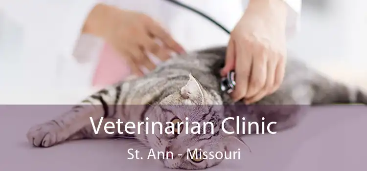 Veterinarian Clinic St. Ann - Missouri