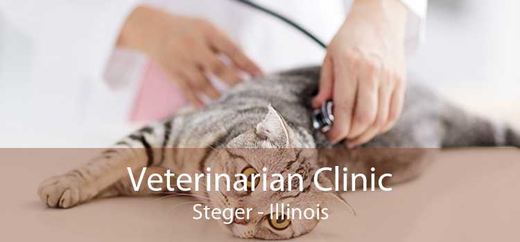 Veterinarian Clinic Steger - Illinois