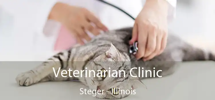 Veterinarian Clinic Steger - Illinois