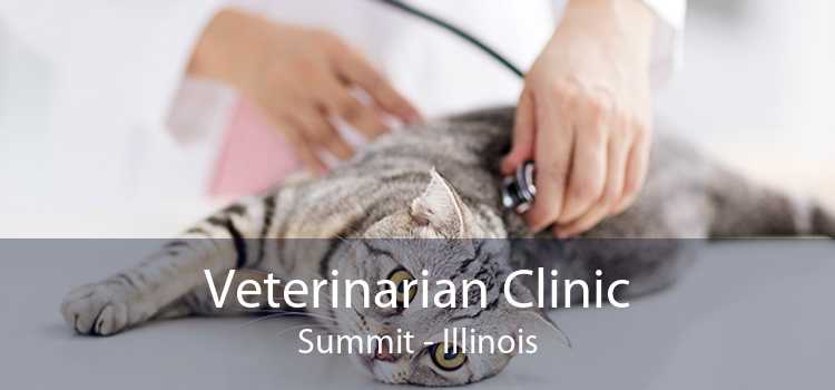 Veterinarian Clinic Summit - Illinois