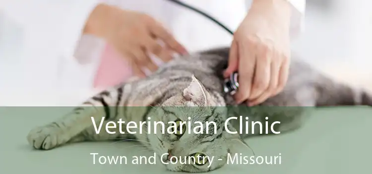 Veterinarian Clinic Town and Country - Missouri