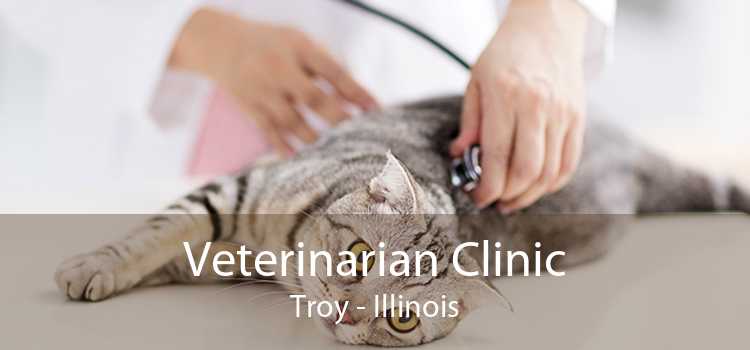 Veterinarian Clinic Troy - Illinois