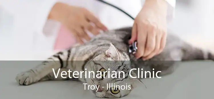 Veterinarian Clinic Troy - Illinois