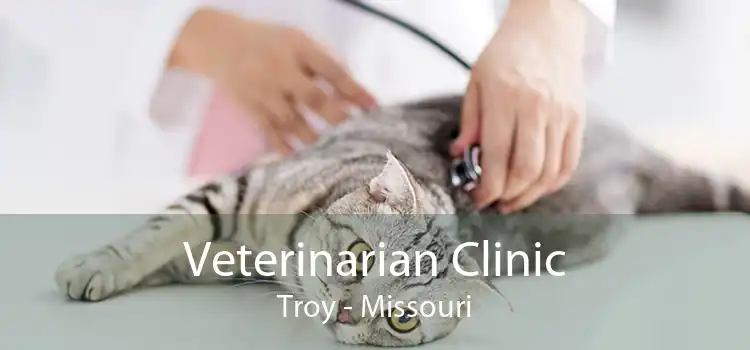 Veterinarian Clinic Troy - Missouri