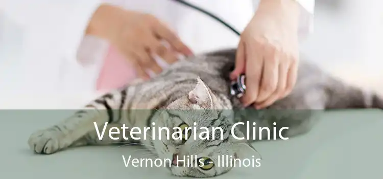 Veterinarian Clinic Vernon Hills - Illinois