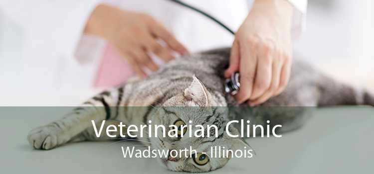 Veterinarian Clinic Wadsworth - Illinois