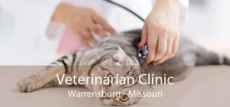Veterinarian Clinic Warrensburg - Missouri