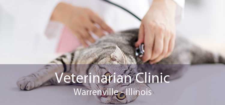 Veterinarian Clinic Warrenville - Illinois