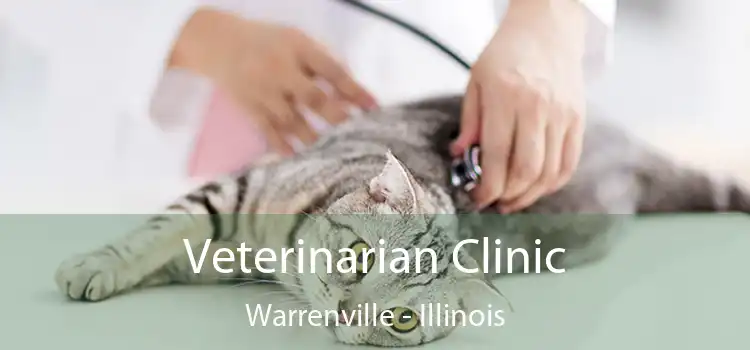 Veterinarian Clinic Warrenville - Illinois