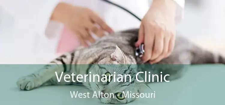 Veterinarian Clinic West Alton - Missouri