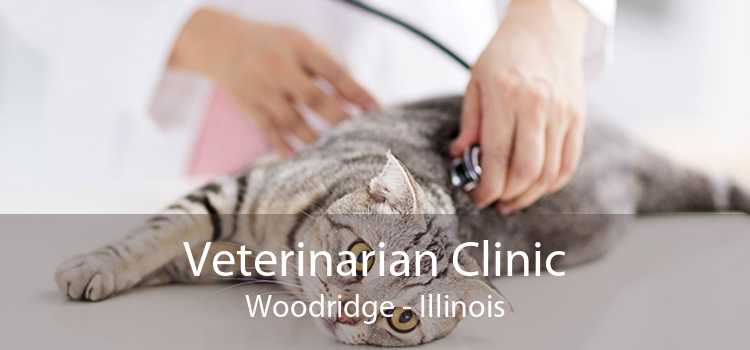 Veterinarian Clinic Woodridge - Illinois