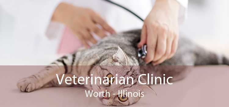 Veterinarian Clinic Worth - Illinois