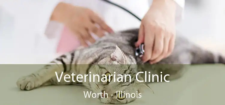 Veterinarian Clinic Worth - Illinois