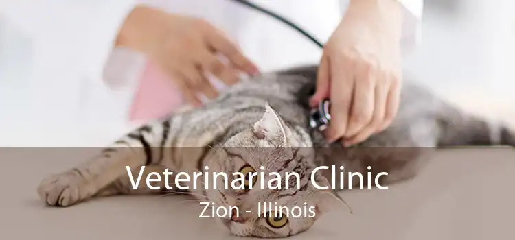 Veterinarian Clinic Zion - Illinois